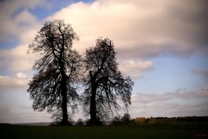 IMG00712.jpg IMG00712.jpg