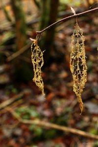 IMG_6357.jpg IMG_6357.jpg