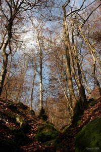 IMG_6332.jpg IMG_6332.jpg