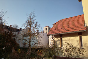 SDIM0281.jpg SDIM0281.jpg