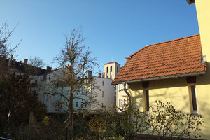 SDIM0281silky.jpg SDIM0281silky.jpg