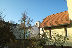 SDIM9940silky.jpg SDIM9940silky.jpg