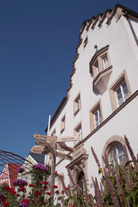 SDIM0083_0.jpg SDIM0083_0.jpg