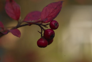 IMG06172.jpg IMG06172.jpg