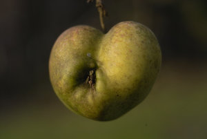 IMG06185.jpg IMG06185.jpg