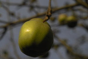 IMG06179.jpg IMG06179.jpg