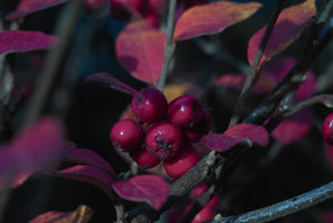 IMG06176.jpg IMG06176.jpg