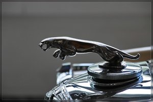 Museum-SD15 - SDIM8399.jpg Museum-SD15 - SDIM8399.jpg