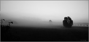Nebel hüllt das Land ein_Randb.jpg