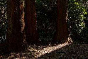 Usertreffen Sept. 2011-2.jpg