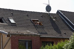 Usertreffen Sept. 2011-6.jpg