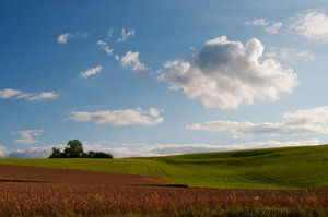 DSC_0133_bearbeitet-1.jpg DSC_0133_bearbeitet-1.jpg