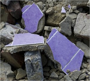 comp_P1010188.jpg comp_P1010188.jpg