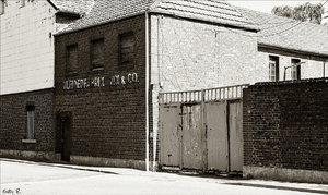 SDIM5024-a.jpg SDIM5024-a.jpg