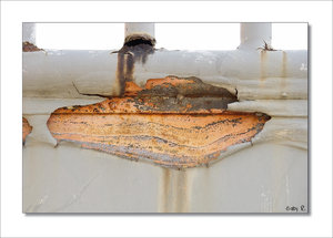 SDIM5020-a.jpg SDIM5020-a.jpg