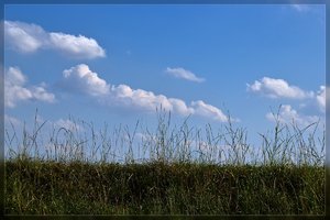 Garzweiler 2-SD15 - SDIM8549.jpg