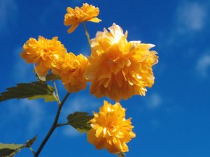 gefüllt.JPG gefüllt.JPG