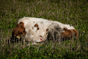 1shot1moment@bilderforum (1 von 1)-4.jpg