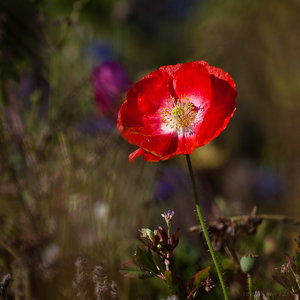 1shot1moment@bilderforum (1 von 1).jpg