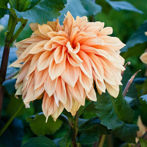 1shot1moment@bilderforum (1 von 1)-3.jpg