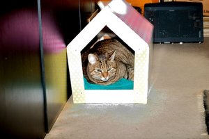 DSC_1886.JPG DSC_1886.JPG