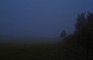 Bilderforum IMG09993 spp42_1 (c) PPf.jpg