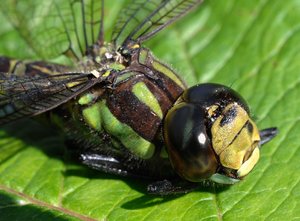 DS1_0216_Forum.jpg DS1_0216_Forum.jpg