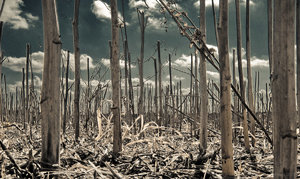 1shot1moment@bilderforum (1 von 1).jpg