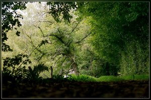 SAM_2095-27_1_hf.jpg SAM_2095-27_1_hf.jpg