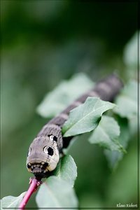 sample 2.jpg sample 2.jpg