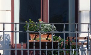 comp_DSC01285-BLUMENKASTEN.jpg