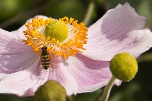 Stadtpark Meiderich-20.jpg