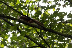 Stadtpark Meiderich-4.jpg