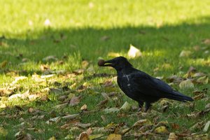 Stadtpark Meiderich-32.jpg