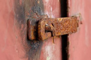 25269567.JPG 25269567.JPG