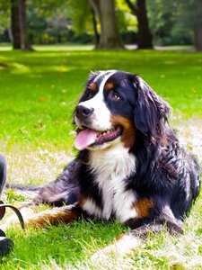 294567_252589821447189_100000885186629_675747_1759325657_n.jpg 294567_252589821447189_100000885186629_675747_1759325657_n.jpg