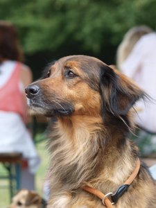 271165_220526607986844_100000885186629_577655_7514357_n.jpg 271165_220526607986844_100000885186629_577655_7514357_n.jpg