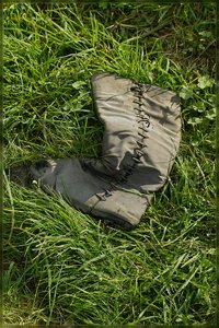 Schuhe -SDIM8978.jpg