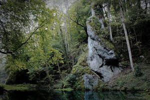 1shot1moment@bilderforum (1 von 4).jpg