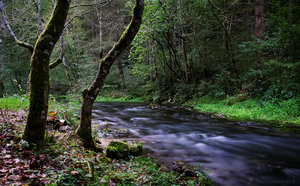 1shot1moment@bilderforum (2 von 4).jpg