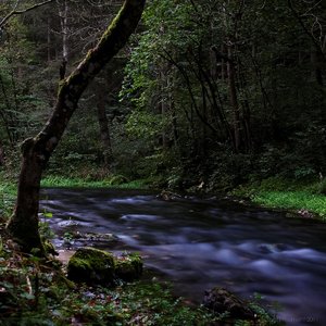 1shot1moment@bilderforum (3 von 4).jpg