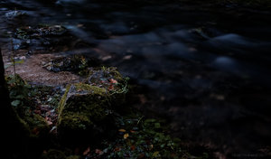 1shot1moment@bilderforum (4 von 4).jpg