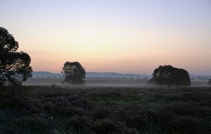 Stimmung über dem Biotop.JPG