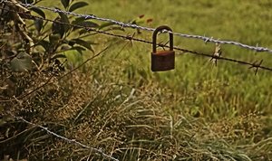 Bilderforum Lost Places Altes verlassenes Schloß IMG10292 SD9 + Flektogon 35mm_filtered (c) PPf.jpg