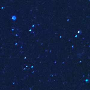 200Prozent_rechts_leicht_oberhalb_der_Bildmitte_1k8_50mm.jpg 200Prozent_rechts_leicht_oberhalb_der_Bildmitte_1k8_50mm.jpg