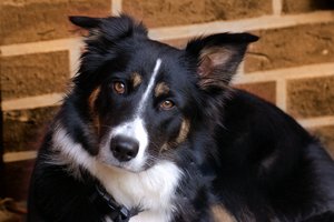 Emma sephia 500 kbEmma bearbeitet Sephia.jpg