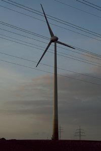 SAM_3699.jpg SAM_3699.jpg