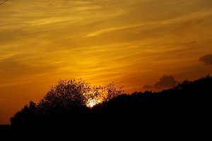 SAM_3703.jpg SAM_3703.jpg