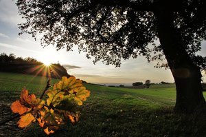 Der Herbst hat begonnen..JPG