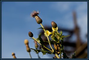 am Fuße des HO3.jpg